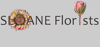 Sloane Florists